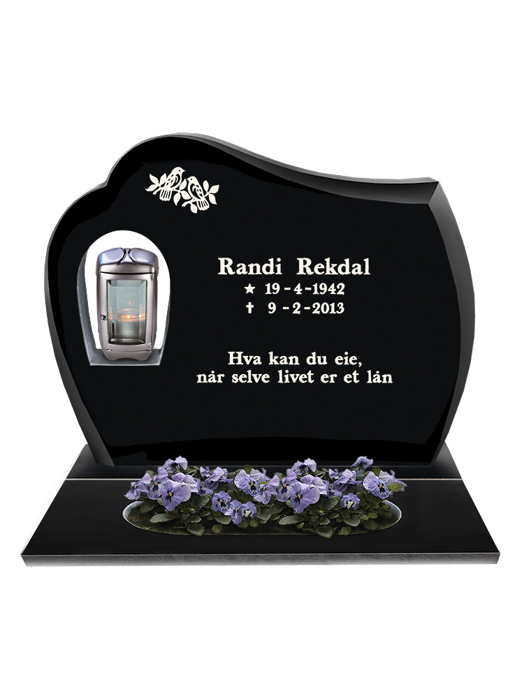 Modell 407B